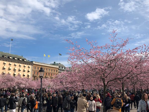 スウェーデン・ストックホルム「北欧の旅」の写真