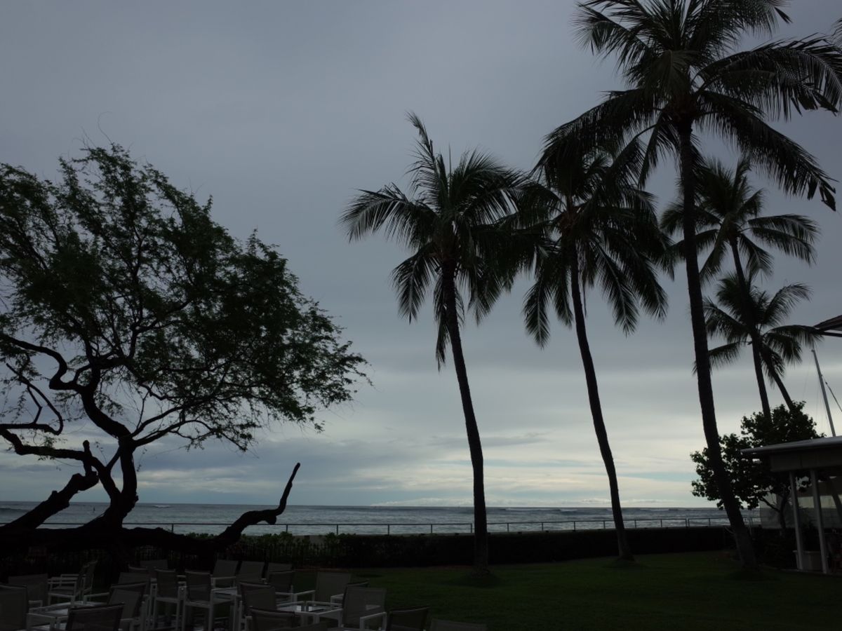 初めての子連れハワイ！
ワイキキ周辺だけでしたが楽しめました！