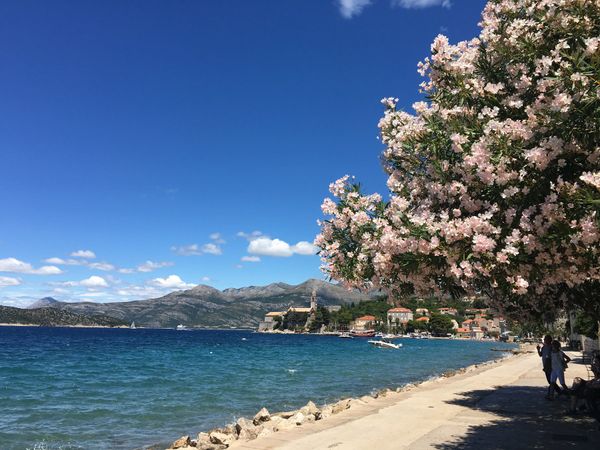 クロアチア・青の洞窟「念願のクロアチア」の写真