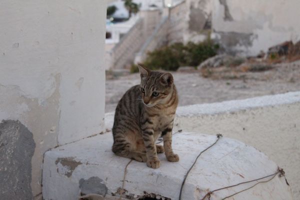 ギリシャ・サントリーニ島「サントリーニ島へ」の写真