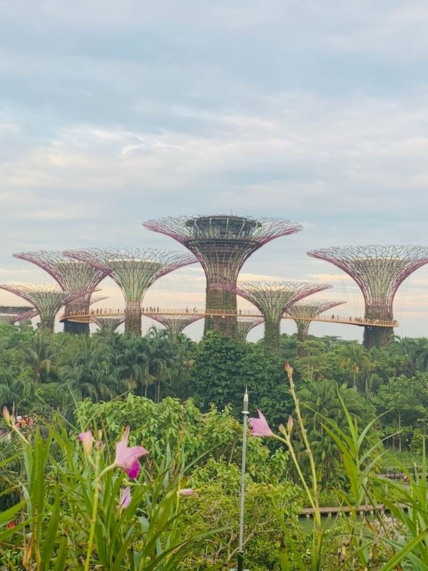 シンガポール・マリーナベイサンズ「シンガポール」の写真