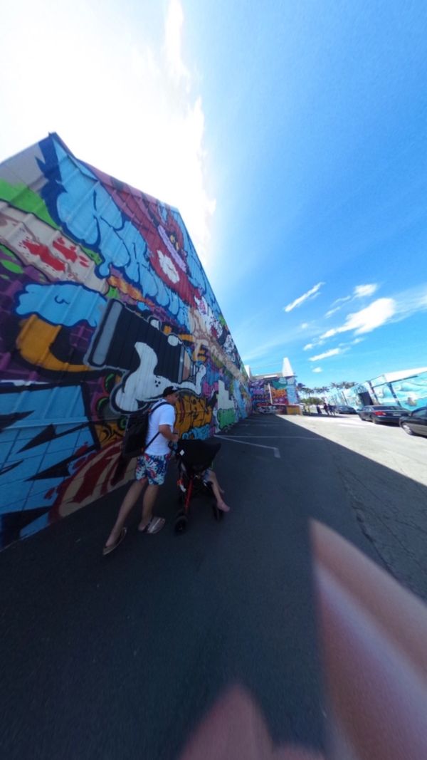 アメリカ(米国)・ハワイ「ハワイ旅行」の写真：カカアコ