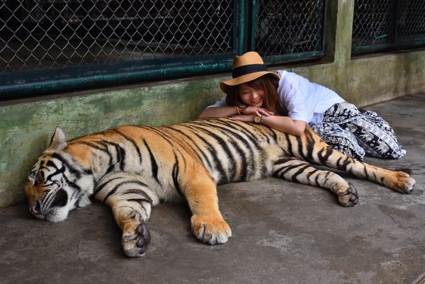 タイ・プーケット「プーケット＊」の写真