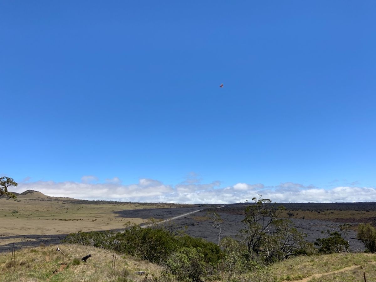 Kinuka puu huluhlu頂上からの眺め✨