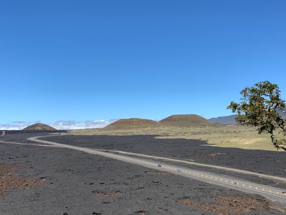 Kinuka puu huluhlu頂上からの眺め✨