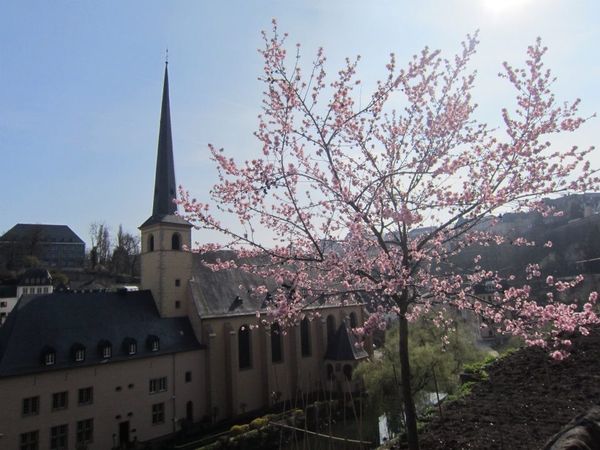 ルクセンブルク「ルクセンブルク」の写真