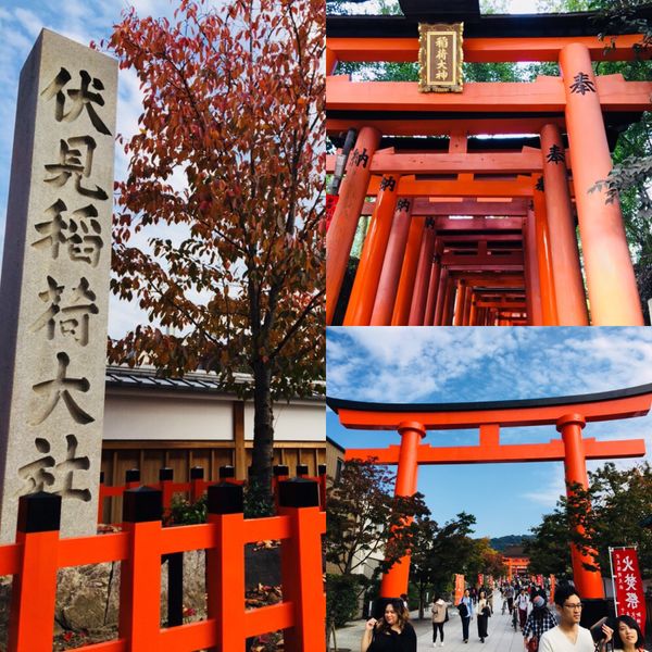 日本・金閣寺「京都 還暦プレゼント」の写真