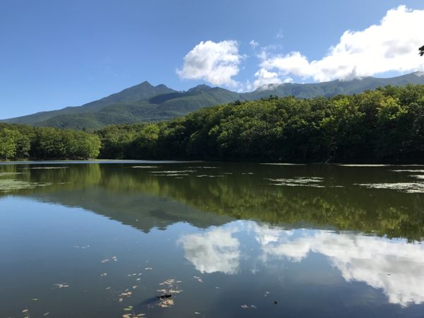 日本・知床「北海道/知床・摩周湖・屈斜路湖」の写真：知床八景の一つ、知床五湖。天気が快晴で湖...