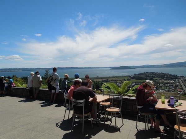 ニュージーランド・ハミルトン「New Zealand🇳🇿Hamilton ホームステイ」の写真