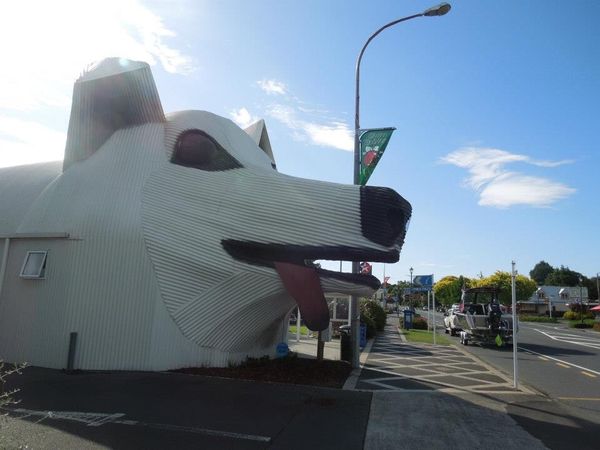 ニュージーランド・ハミルトン「New Zealand🇳🇿Hamilton ホームステイ」の写真：ドライブ中たくさん会話した☆