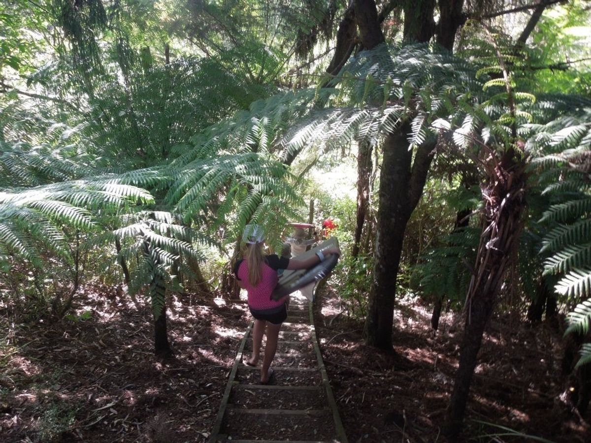 ジャングルを下ってビーチへ☆