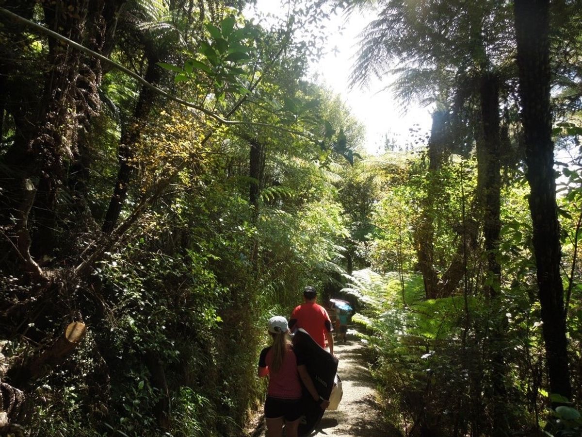 ジャングルを下ってビーチへ☆