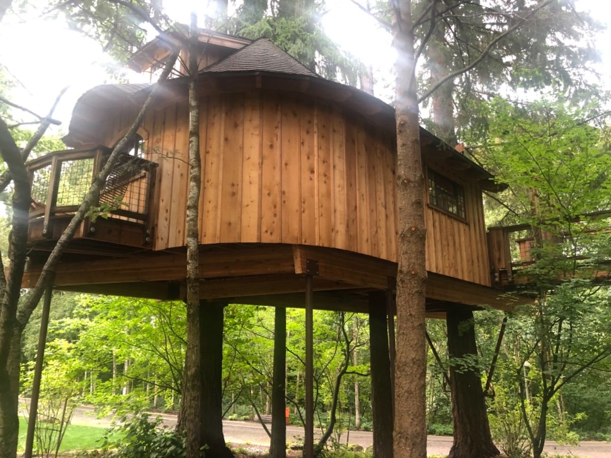 Microsoft Treehouse