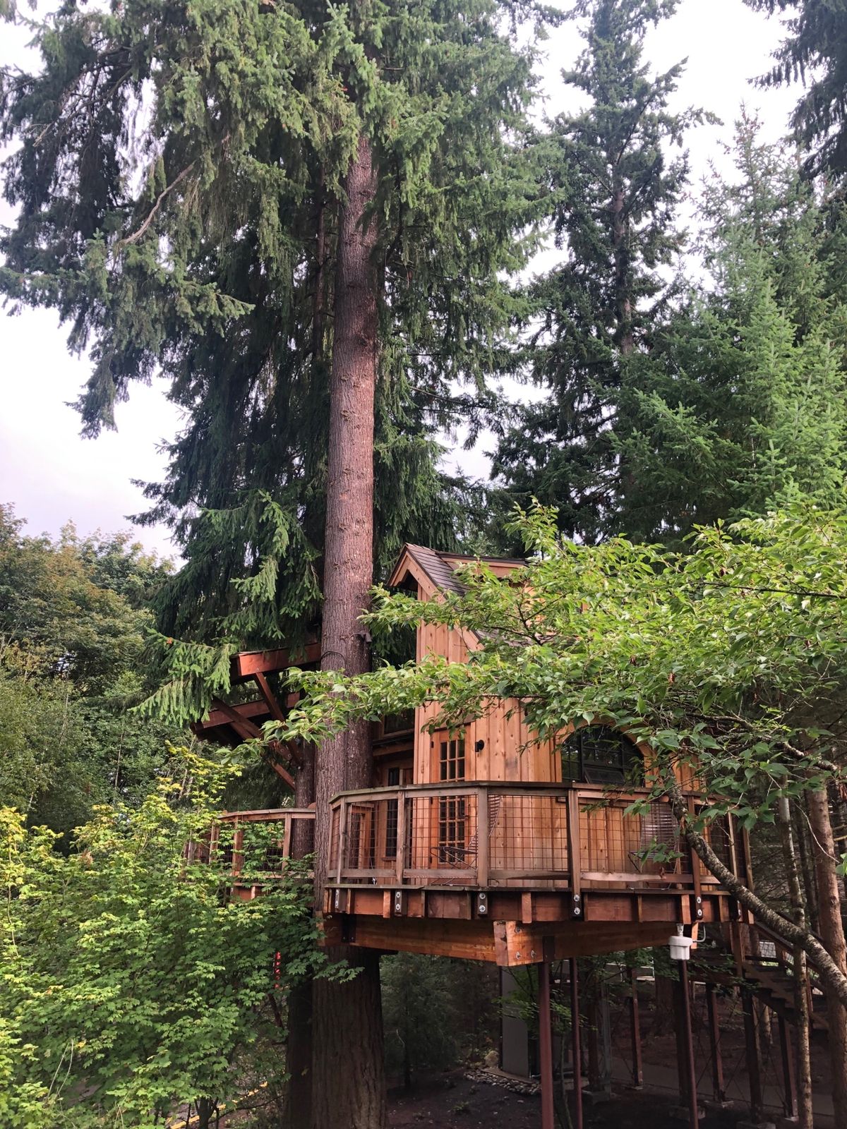Microsoft Treehouse