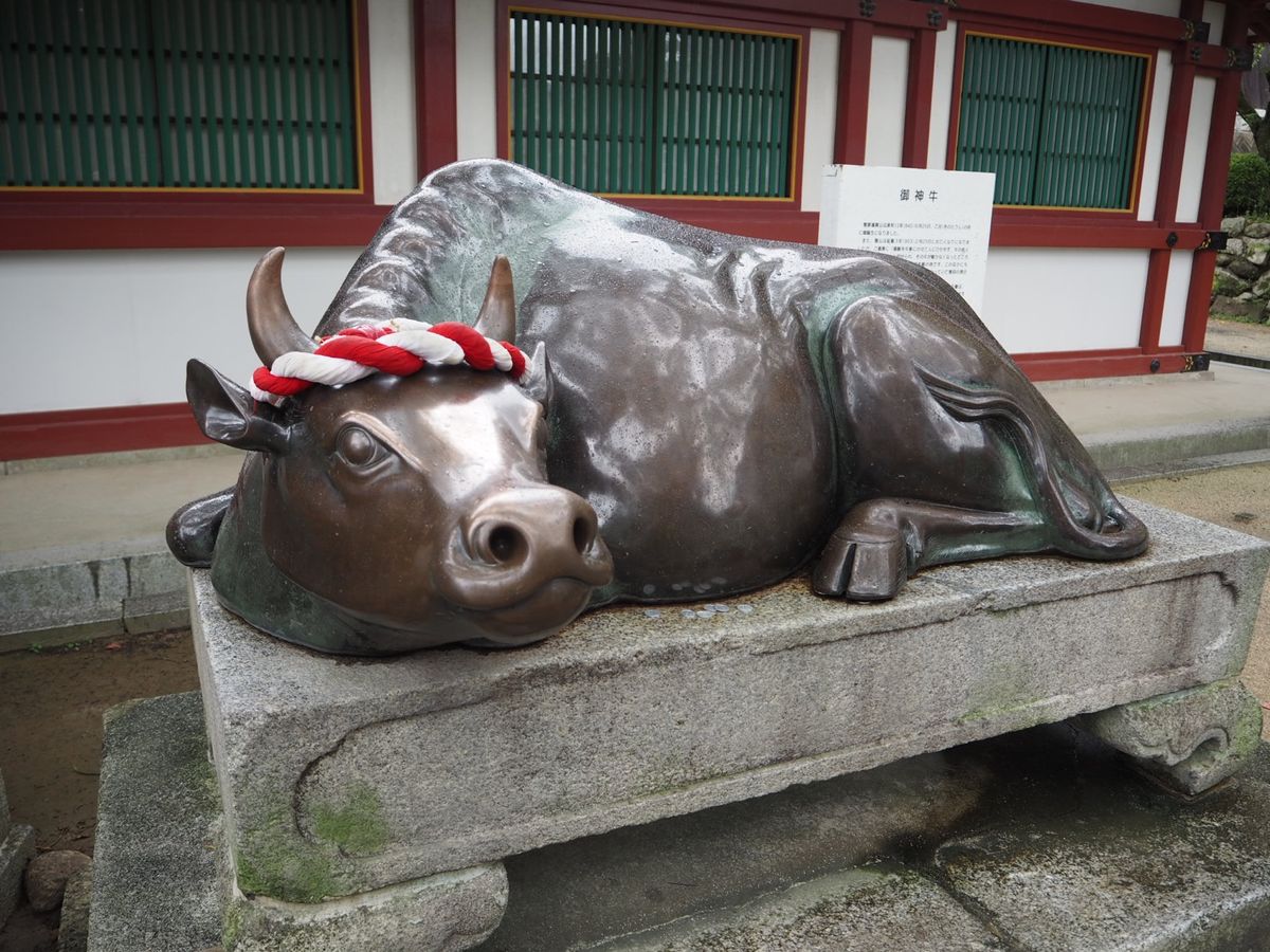 太宰府天満宮と蛍丸