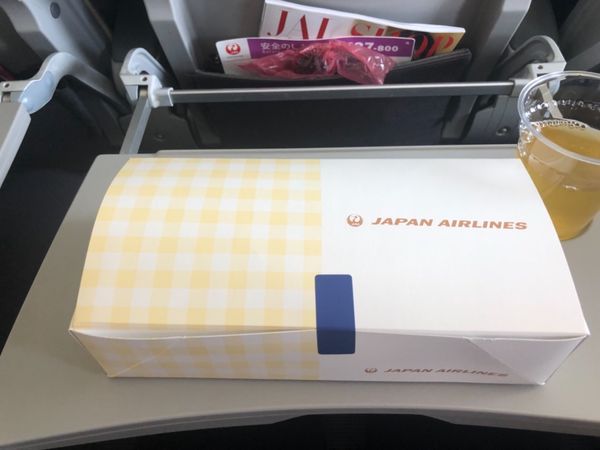 大韓民国 (韓国)・釜山「釜山 」の写真：フライト✈️ JAL