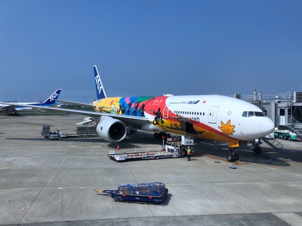 日本・大阪「大阪・宝塚」の写真：フライト✈️ANA
