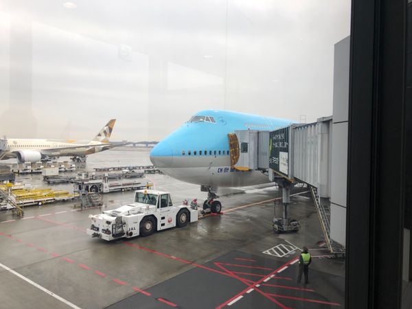 大韓民国 (韓国)・ソウル「ソウル」の写真：フライト✈️大韓航空