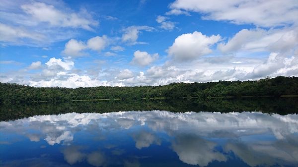 オーストラリア連邦・ケアンズ「オーストラリア」の写真