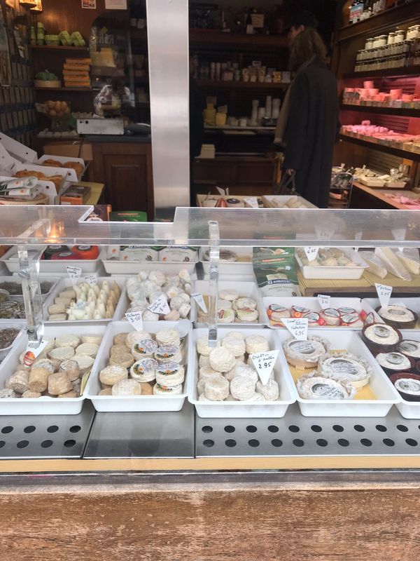 フランス「「パリ 私の夢だから」の巻」の写真：朝食後にホテルの近所を散策中。
何を見て...