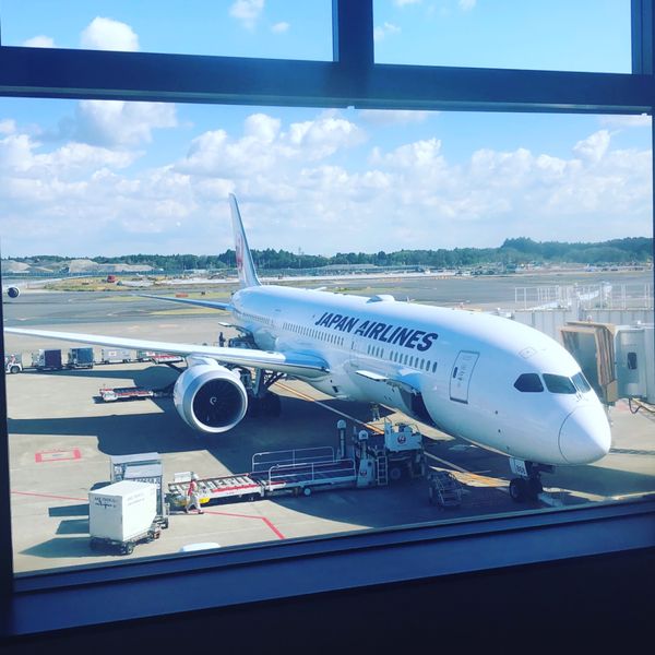 オランダ・パリ「ドイツ・オランダ・ベルギー・フランス」の写真：フライト✈️JAL &amp; BA