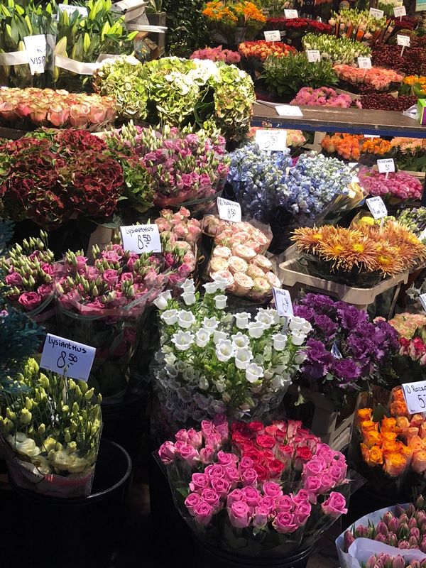 オランダ・パリ「ドイツ・オランダ・ベルギー・フランス」の写真：3日目
アムステルダム
ザーンセスカンス