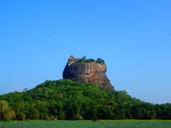 スリランカ・コロンボ「スリランカで年越し2016-17」の写真