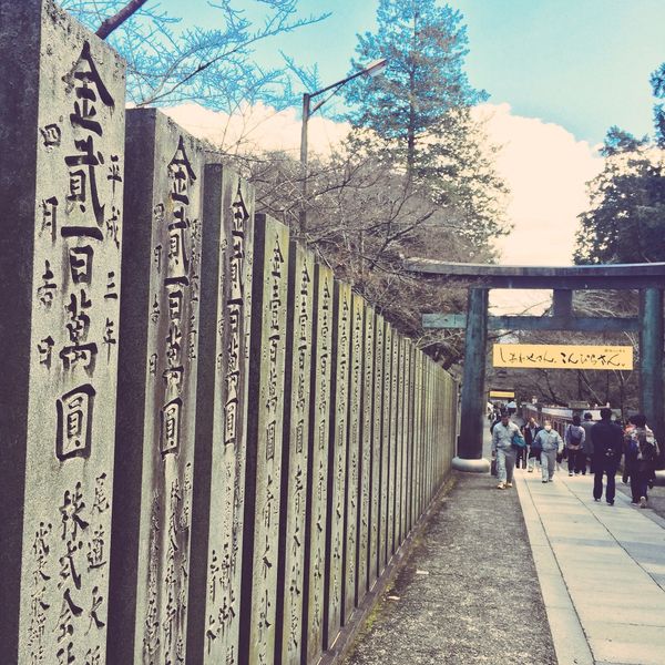 日本・香川、愛媛、徳島「四国周遊＊」の写真