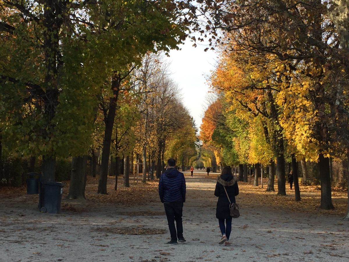 2日目
シェーンブルン宮殿