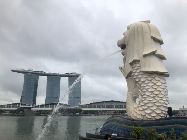 シンガポール・Singapore「Singapore 」の写真