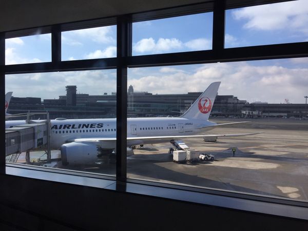 チェコ共和国・ローマ「ウィーン・プラハ・ローマ」の写真：フライト✈️
往路：JL &amp; LH
...