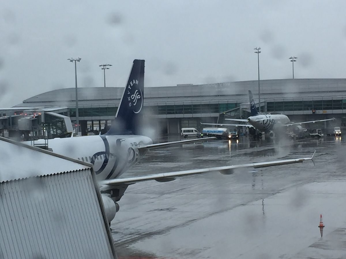 のりもの
ウィーン→プラハ Regio jetのバス
プラハ→ローマ ...