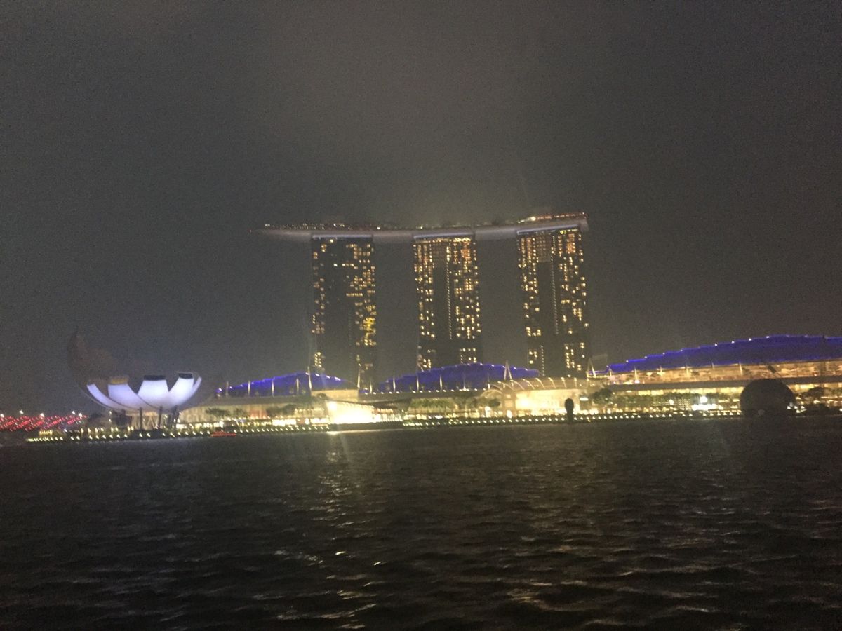 何回も来てるけど、初のマーライオン。
ドリアン味のアイスが凄かったw