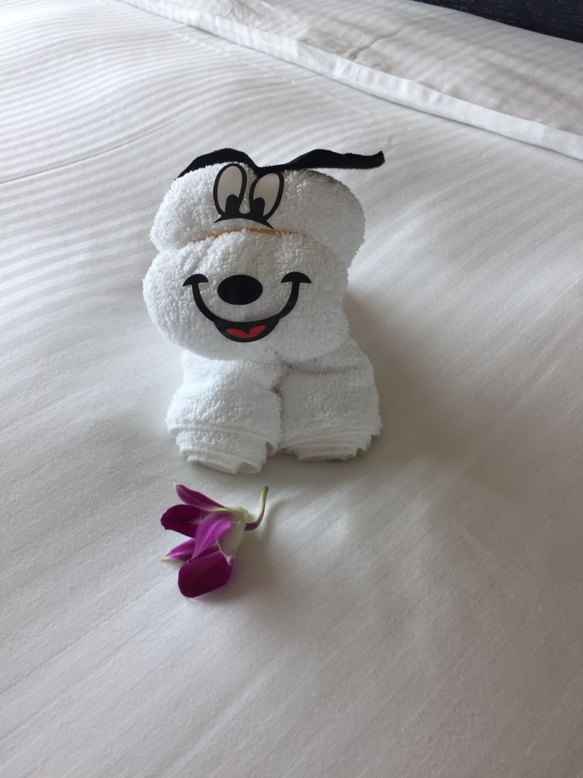 念願のマリーナベイサンズ〜