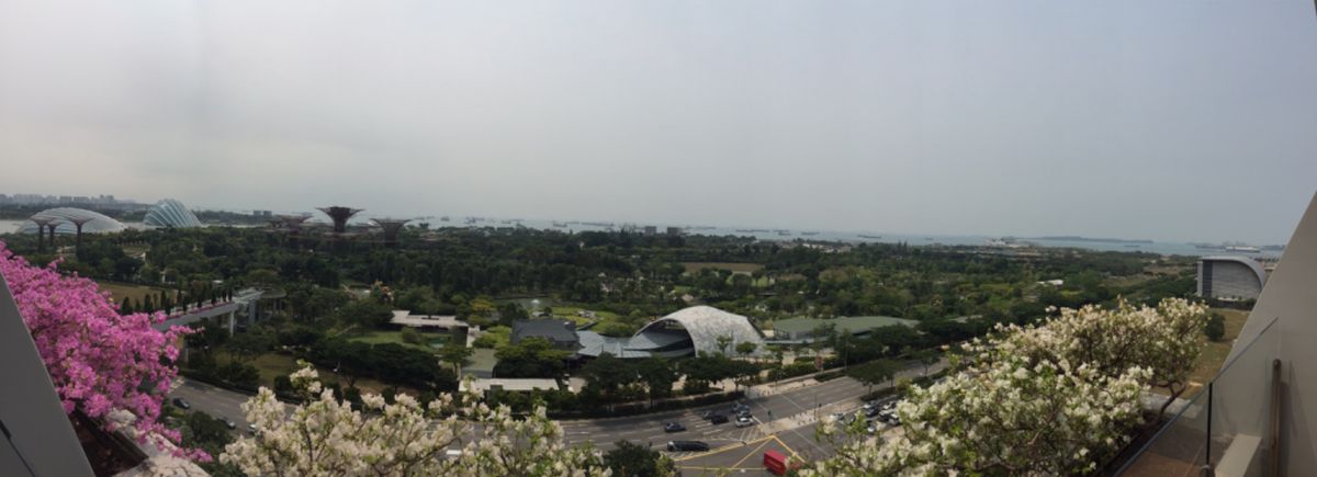 念願のマリーナベイサンズ〜