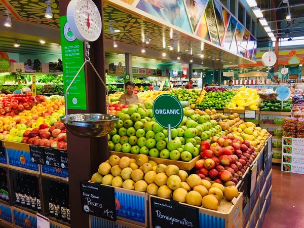 アメリカ(米国)・ハワイ「ハワイ」の写真