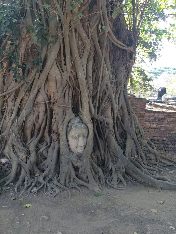 タイ・バンコク「タイ」の写真