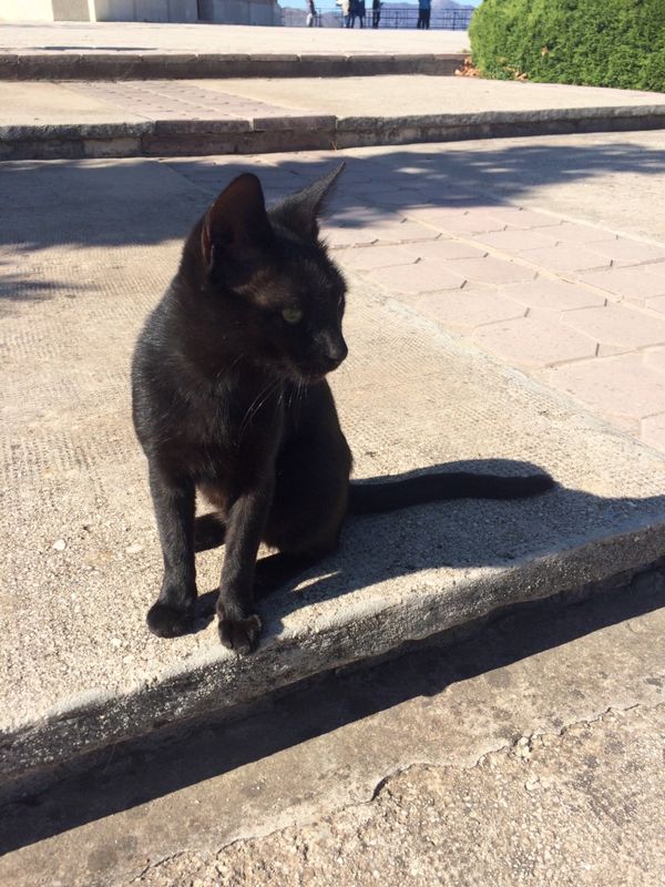 ボスニア・ヘルツェゴビナ・モスタル、トレビニェ、「モスタル日帰り旅」の写真