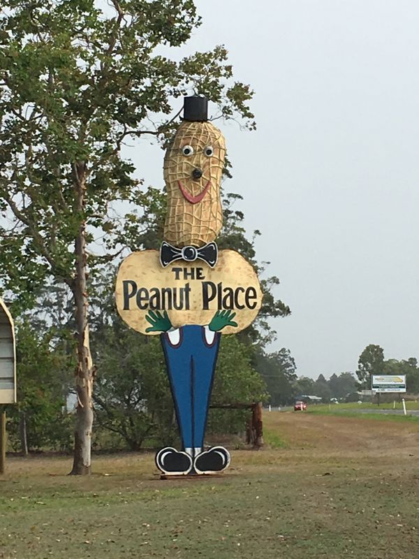 オーストラリア連邦・ケアンズ「ケアンズでコアラ🐨」の写真：ここにツアーで寄ったんだけど、試食で食べ...