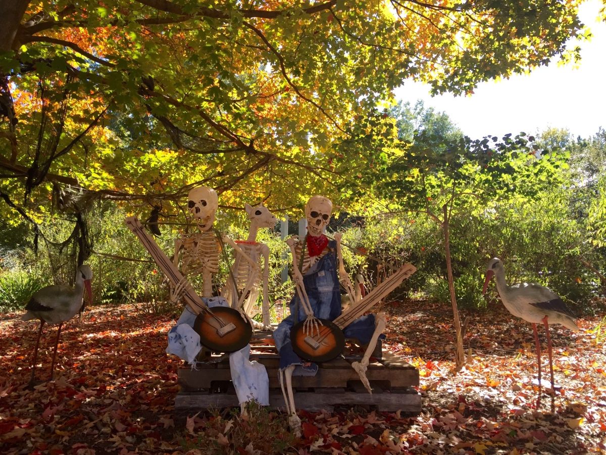 日本のハロウィンと違って、💀が多い！💦
昔懐かし、ゴーストバスターズの曲...