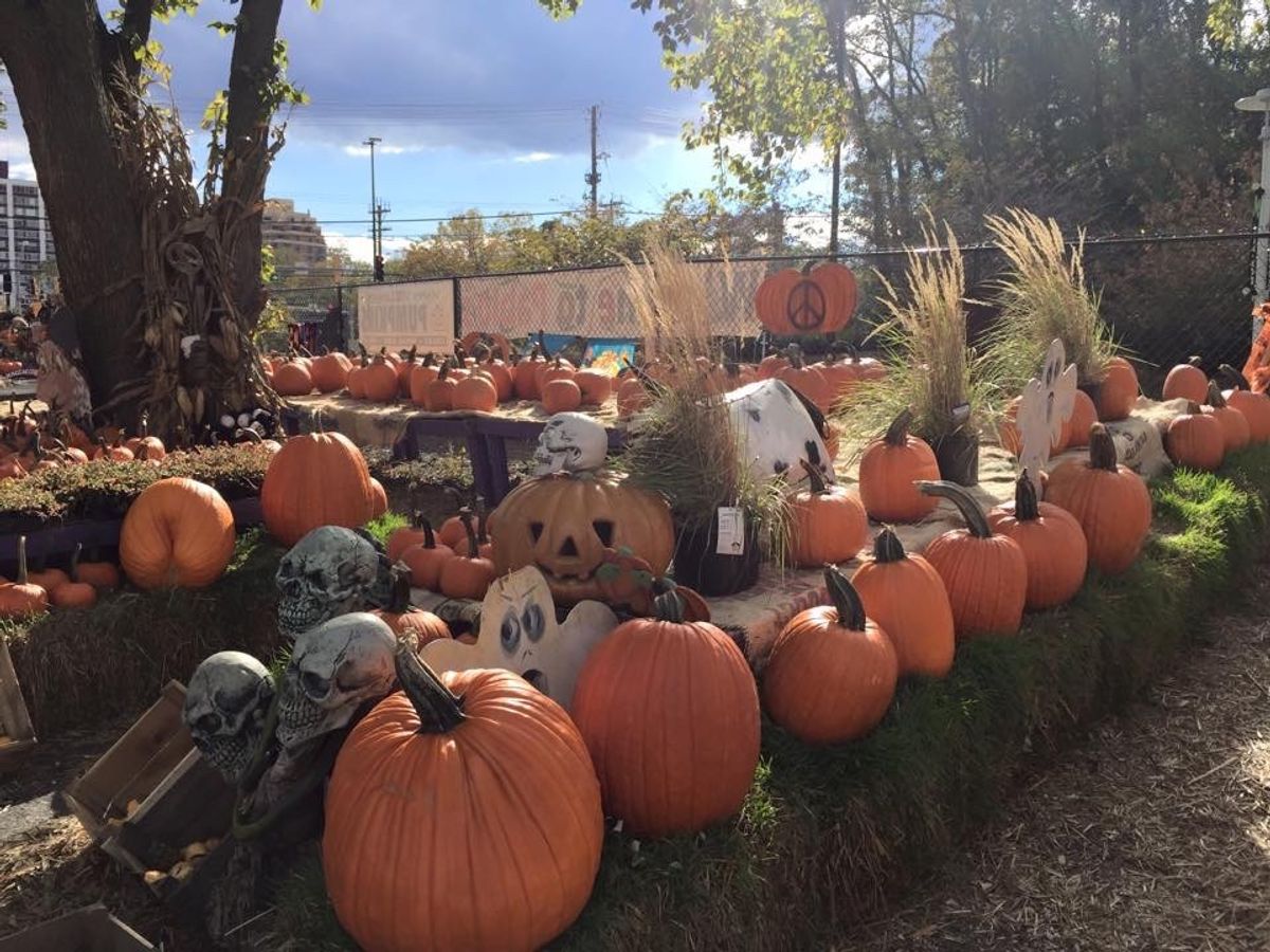 日本のハロウィンと違って、💀が多い！💦
昔懐かし、ゴーストバスターズの曲...