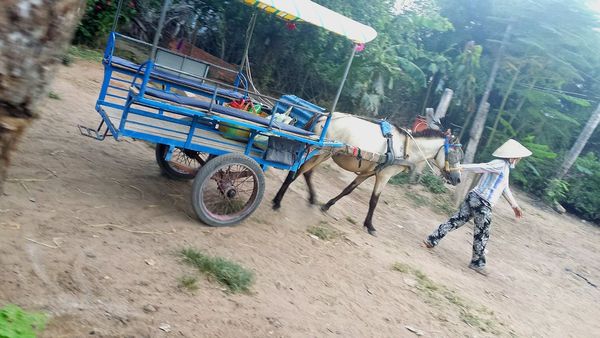 ベトナム・ホーチミン「ベトナム」の写真