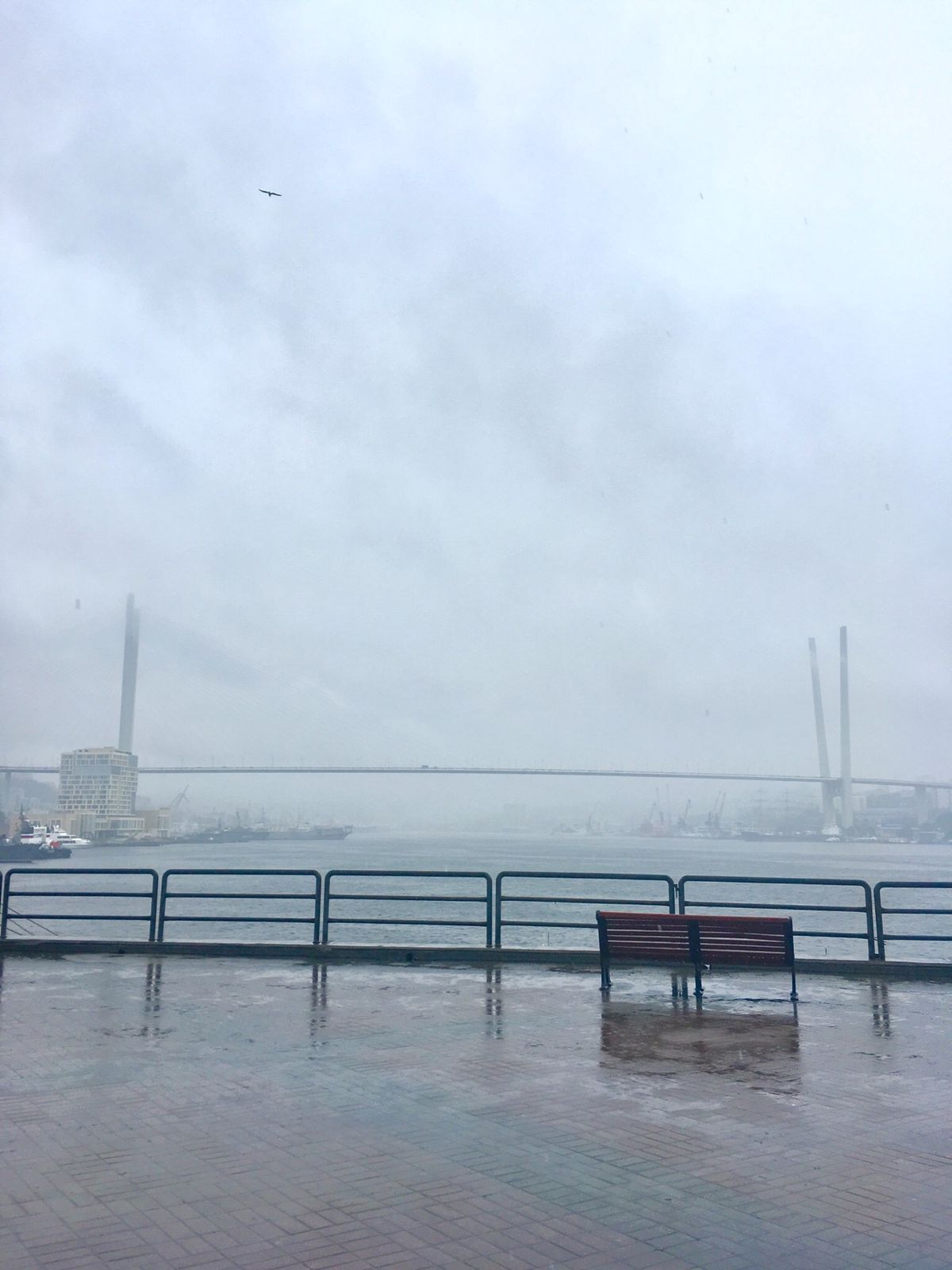 2泊3日ウラジオストク雨☔️しかも一日中、結構な降りっぷり。街を歩いてはホ...