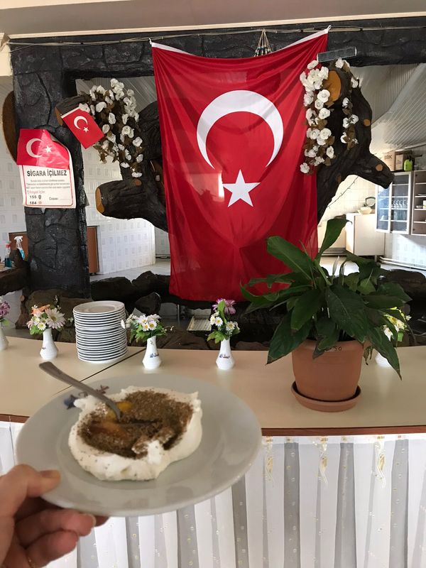 トルコ・イスタンブール、カッパドキア、パムッカレ「トルコ」の写真：1枚目はヨーグルト！蜂蜜たっぷりですっご...