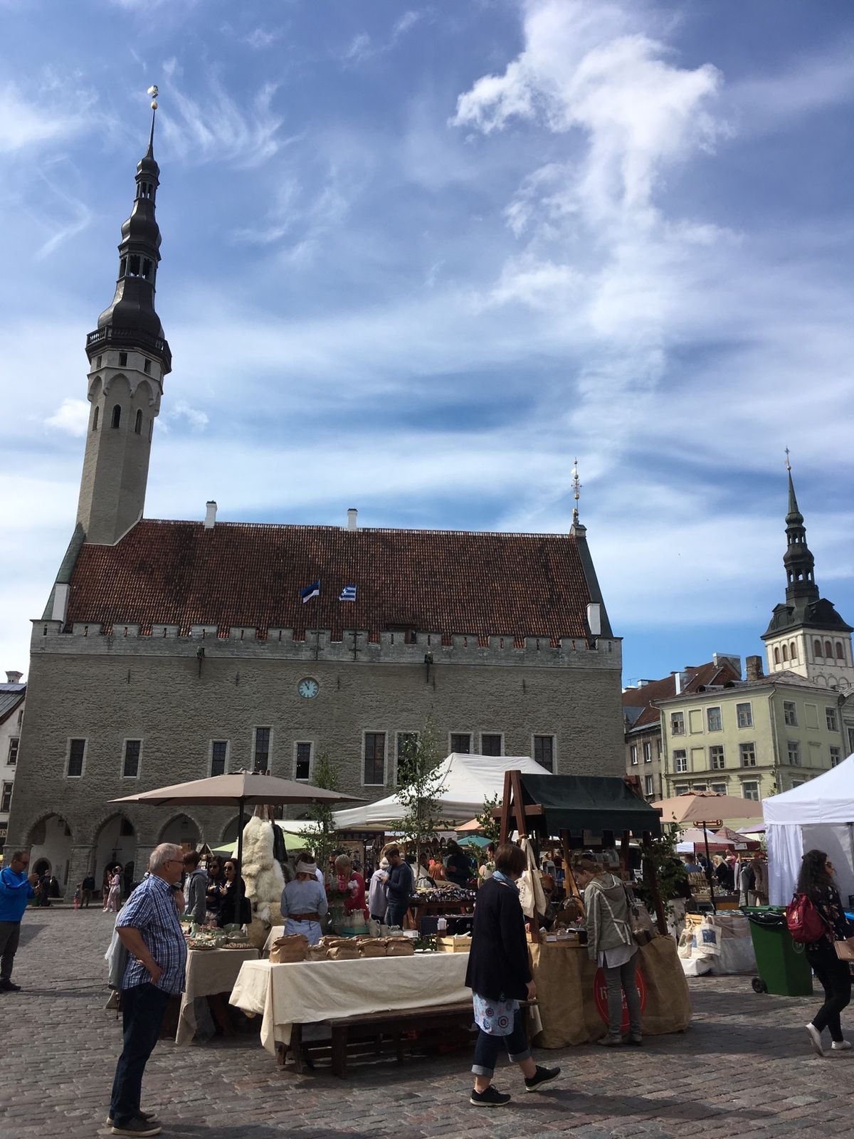 エストニアのタリンへフィンランドから日帰り旅行。エストニアはロシア料理も美...