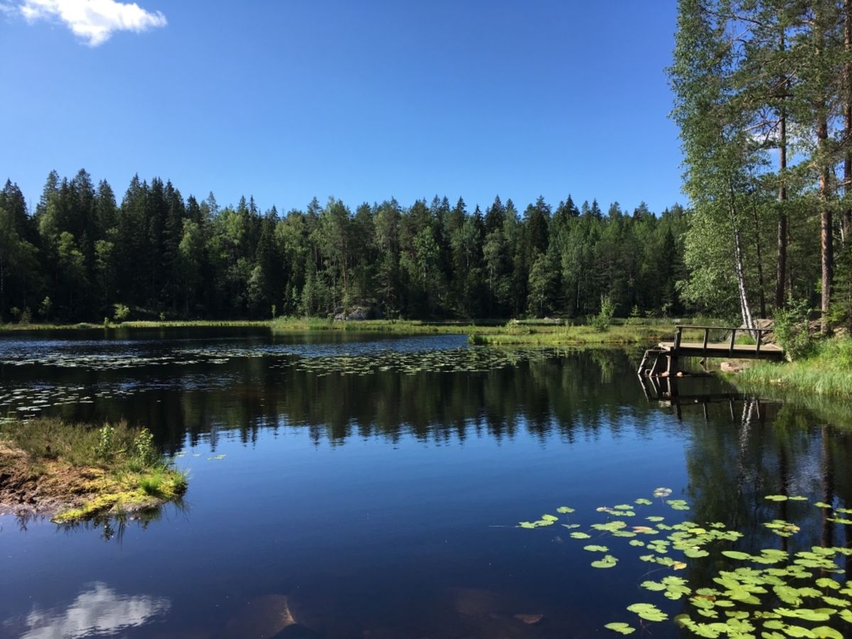 ヌークシオ国立公園でブルーベリー狩りとウォーキング