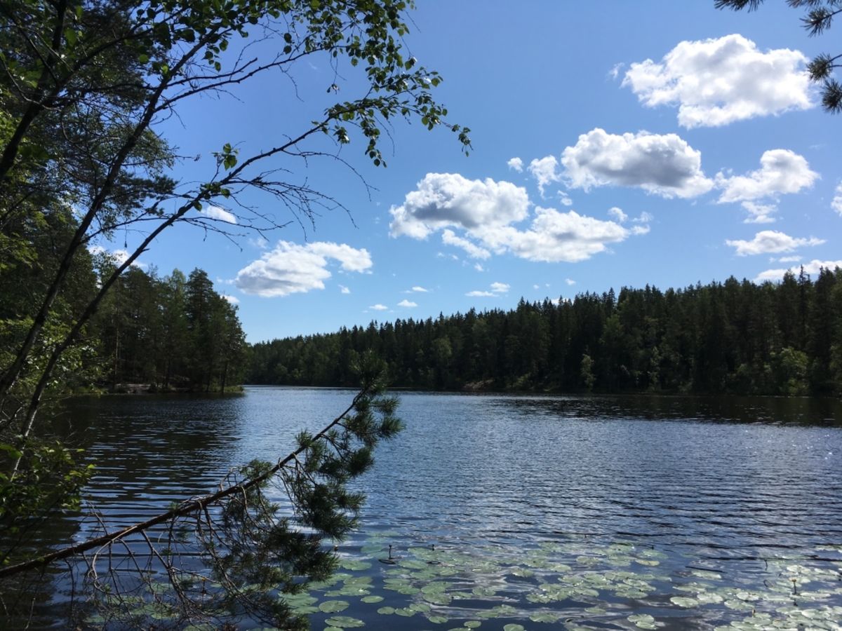 ヌークシオ国立公園でブルーベリー狩りとウォーキング