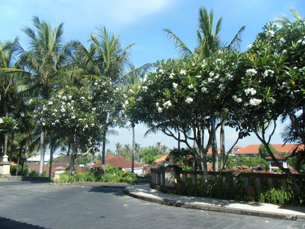 インドネシア「バリ島」の写真