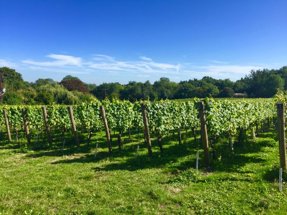 ギルフォード
Guildford