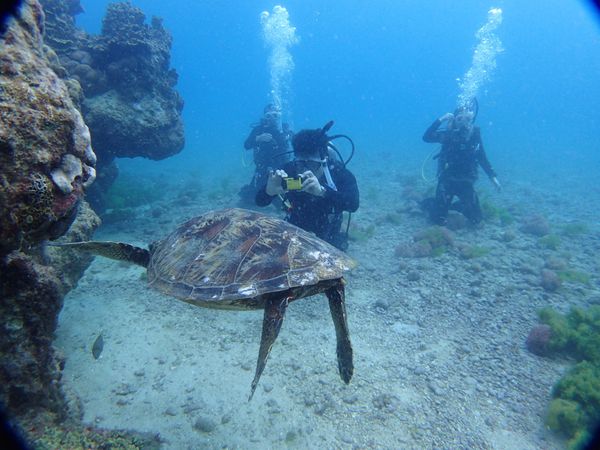 北マリアナ諸島「サイパン、スキューバライセンス」の写真